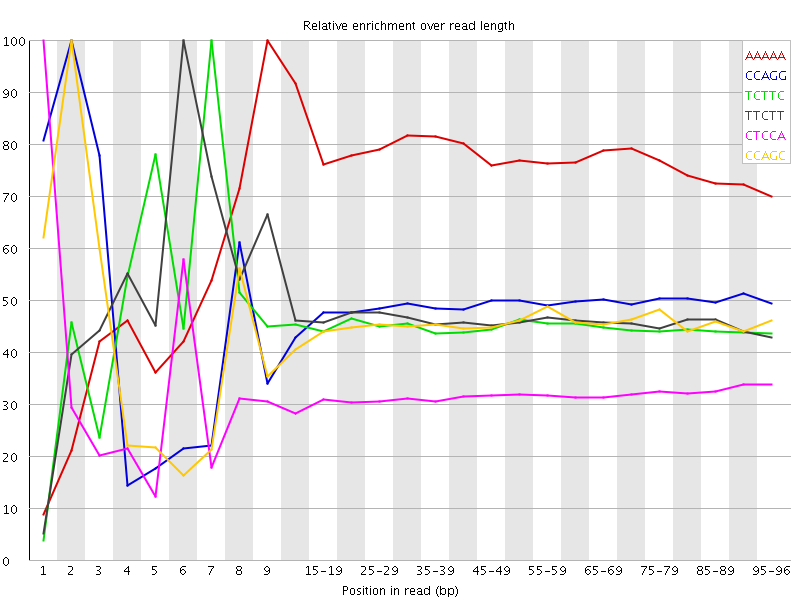 Kmer graph